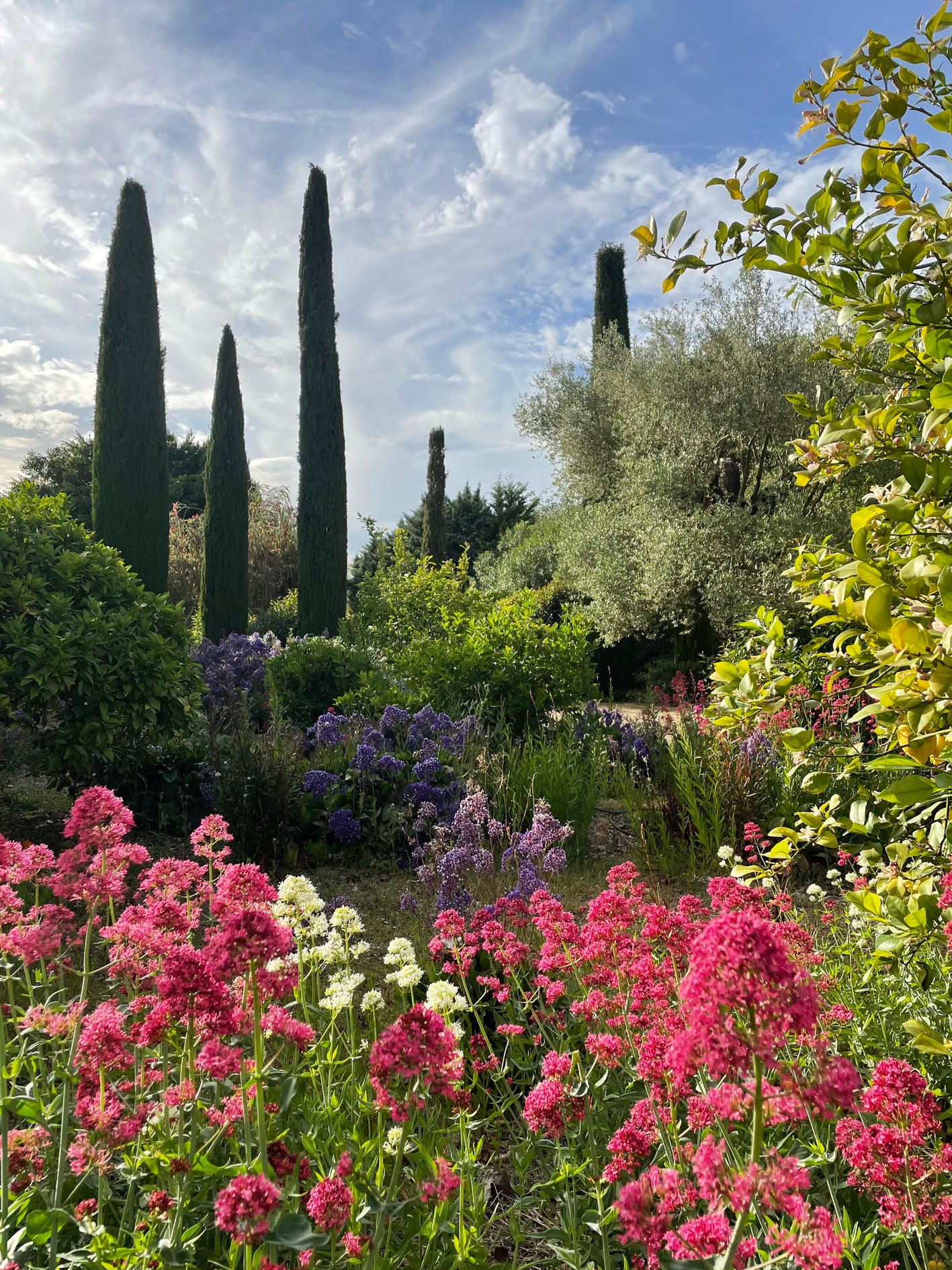 Yellow Lotus Wake Up Retreat