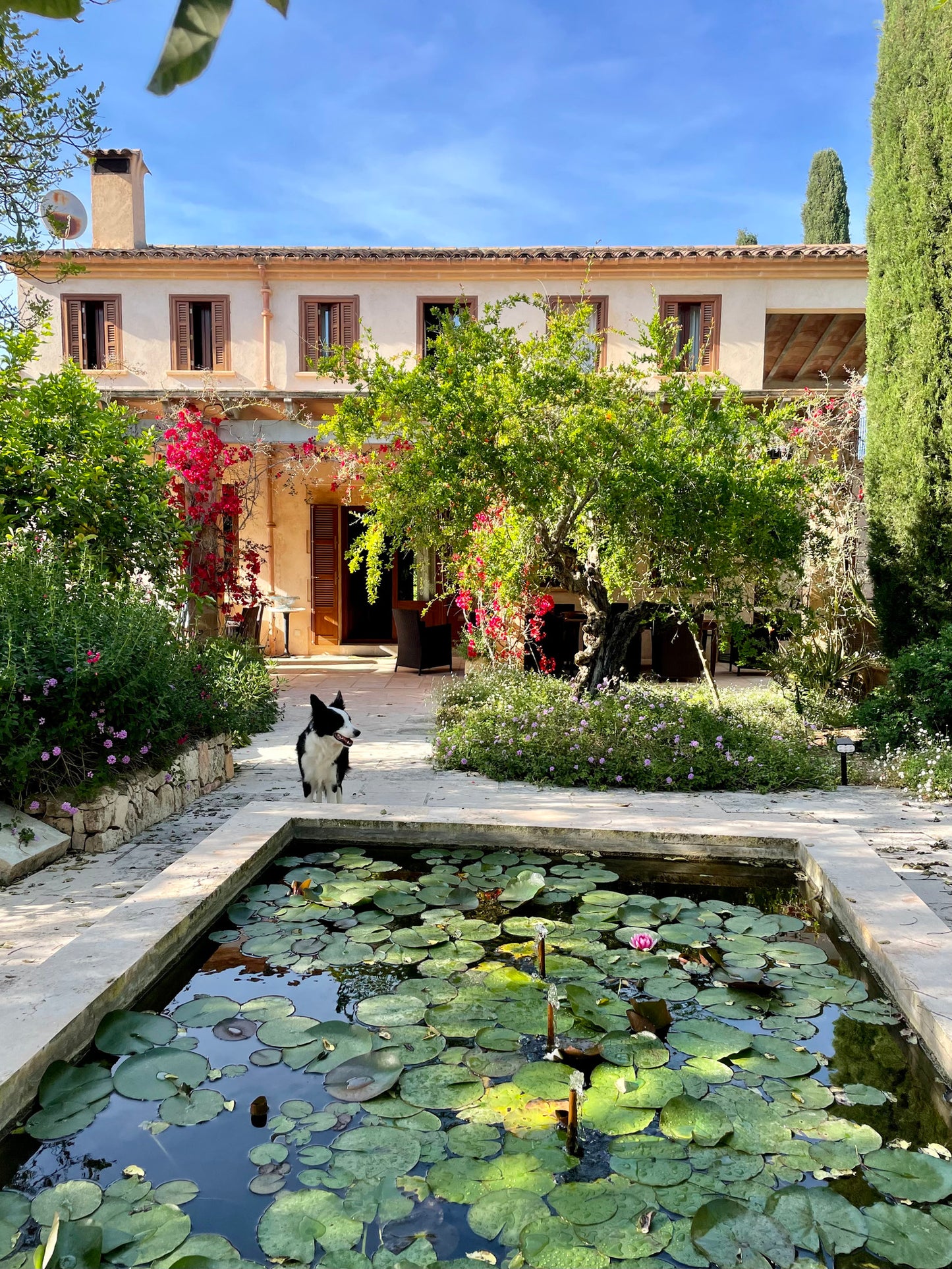 Yellow Lotus Wake Up Retreat