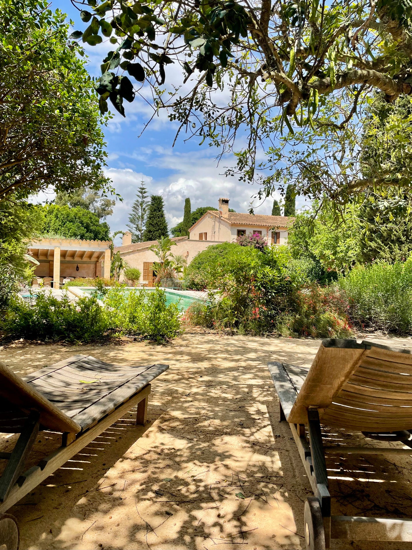 Yellow Lotus Wake Up Retreat