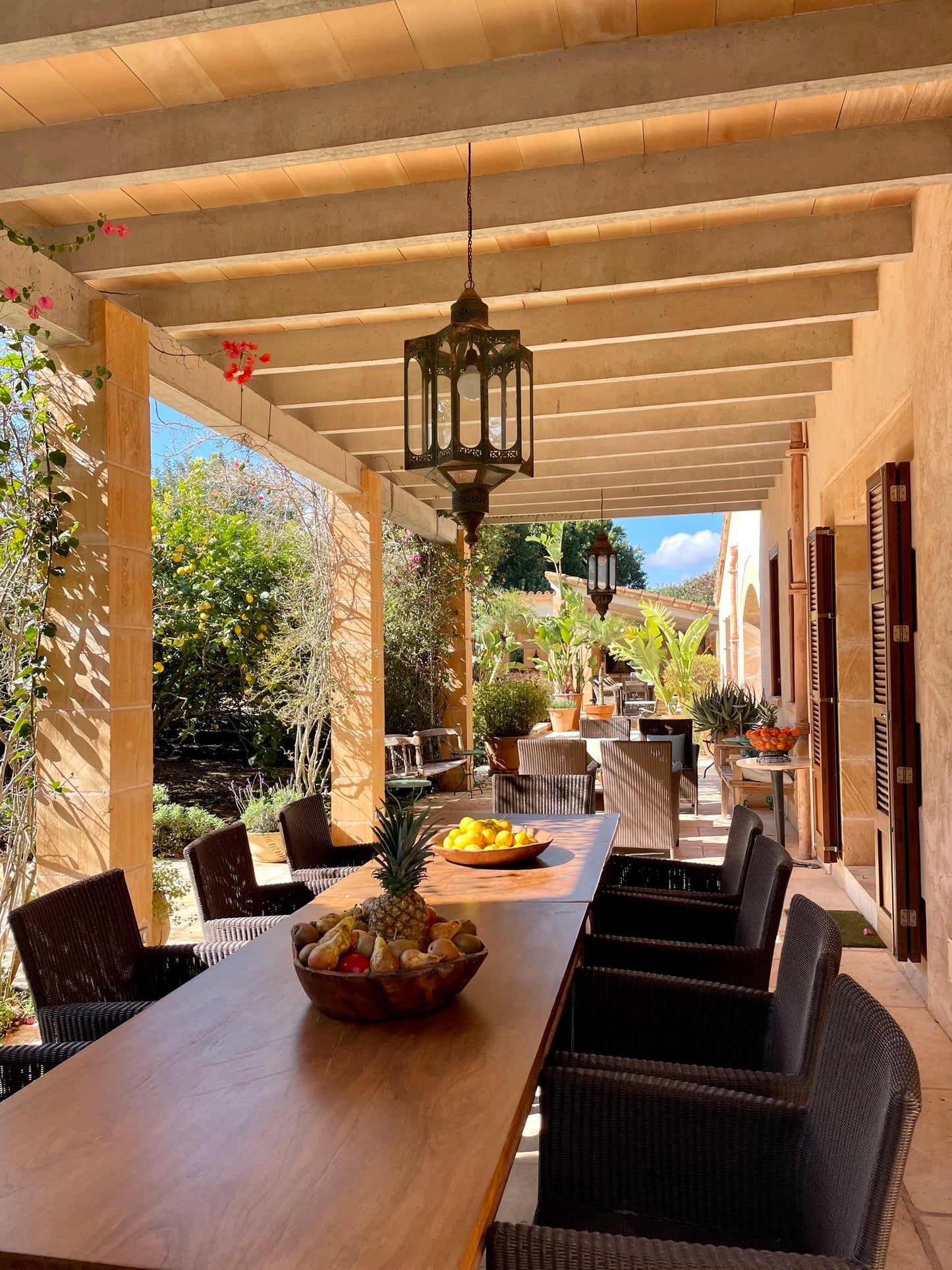 Yellow Lotus Wake Up Retreat